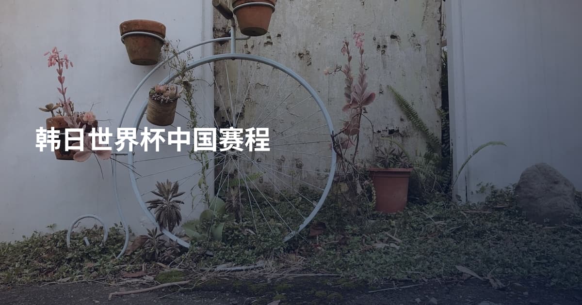 韩日世界杯中国赛程