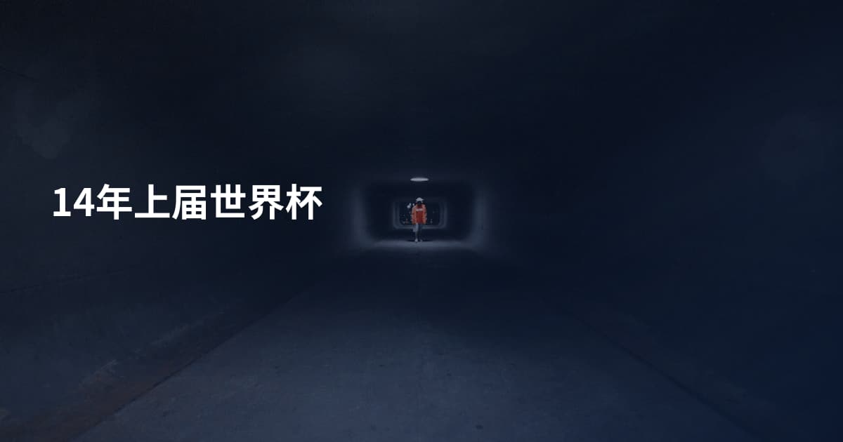14年上届世界杯