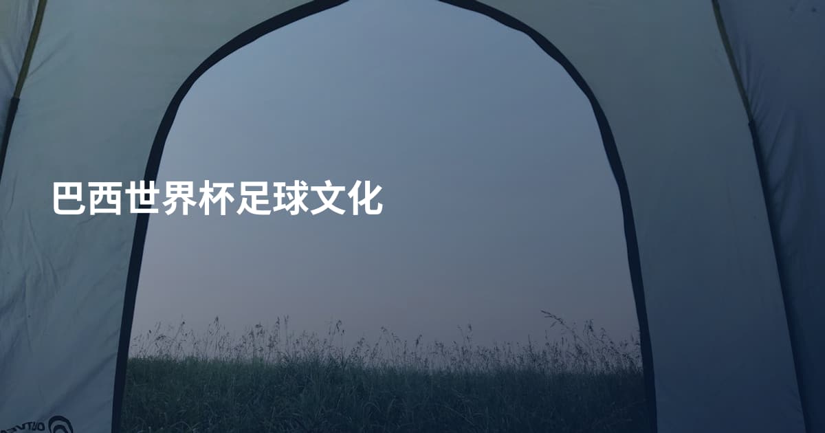 巴西世界杯足球文化