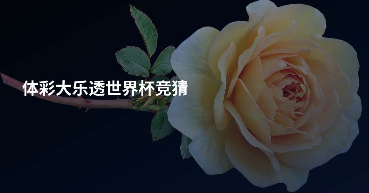 体彩大乐透世界杯竞猜