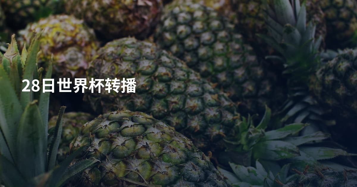 28日世界杯转播