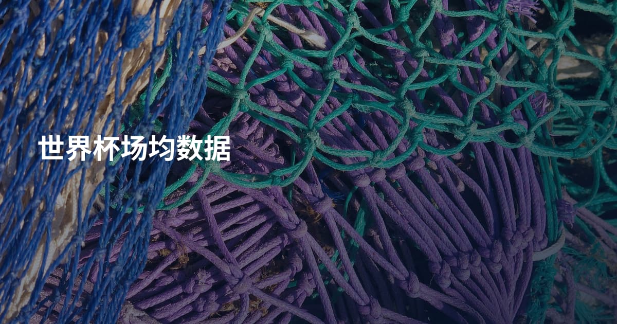 世界杯场均数据