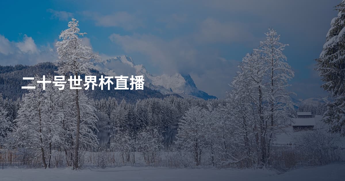 二十号世界杯直播