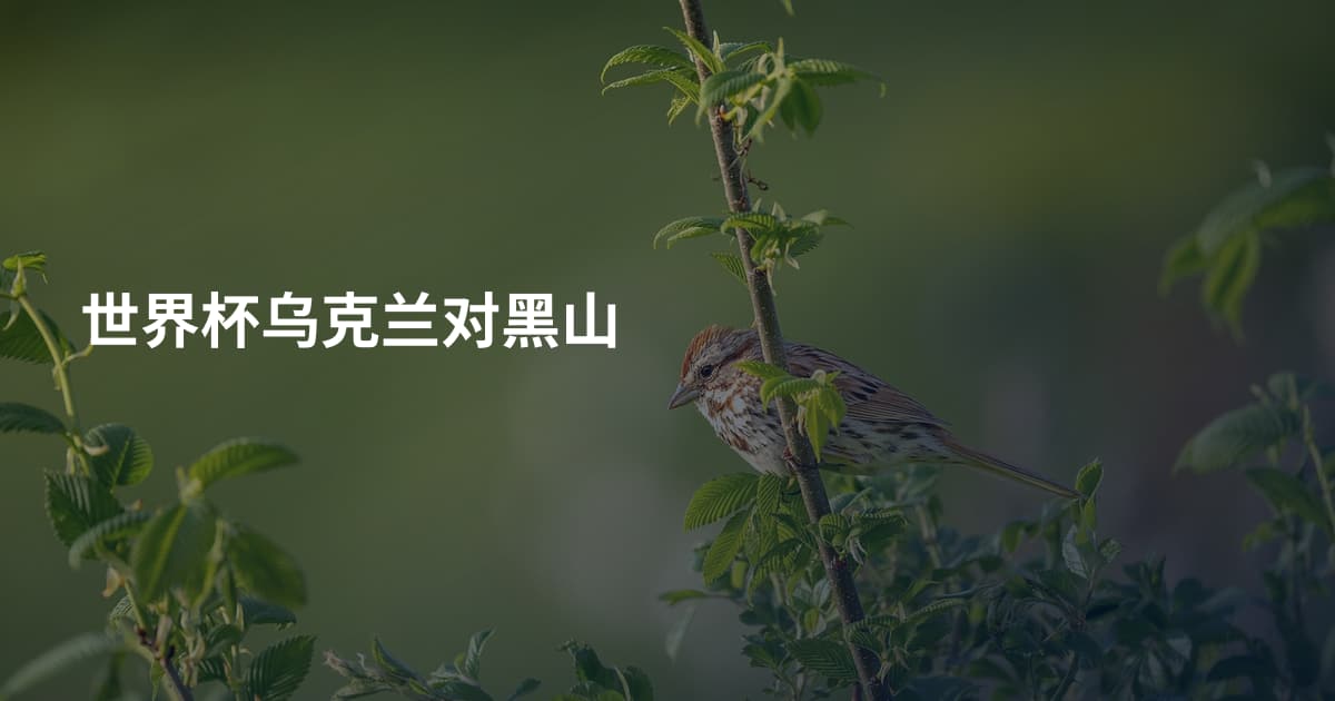 世界杯乌克兰对黑山