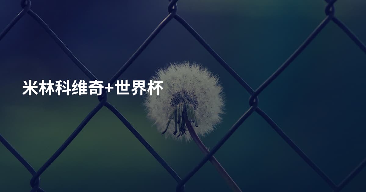 米林科维奇+世界杯