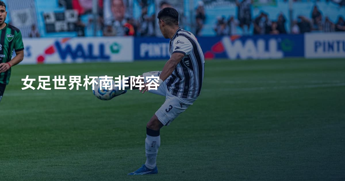 女足世界杯南非阵容