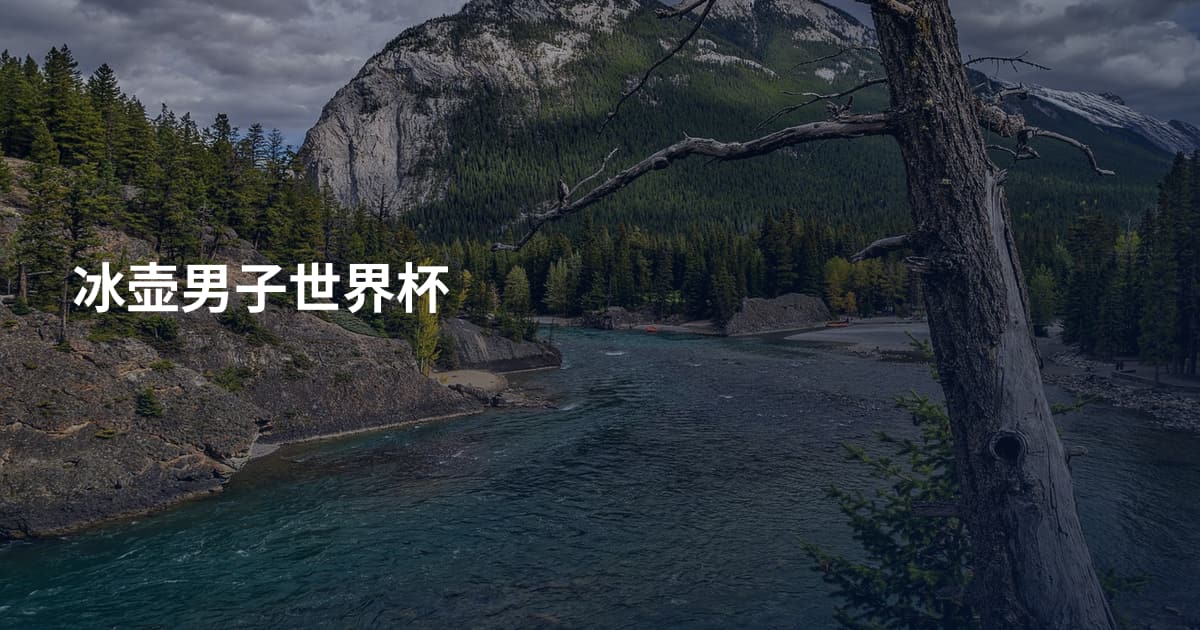 冰壶男子世界杯