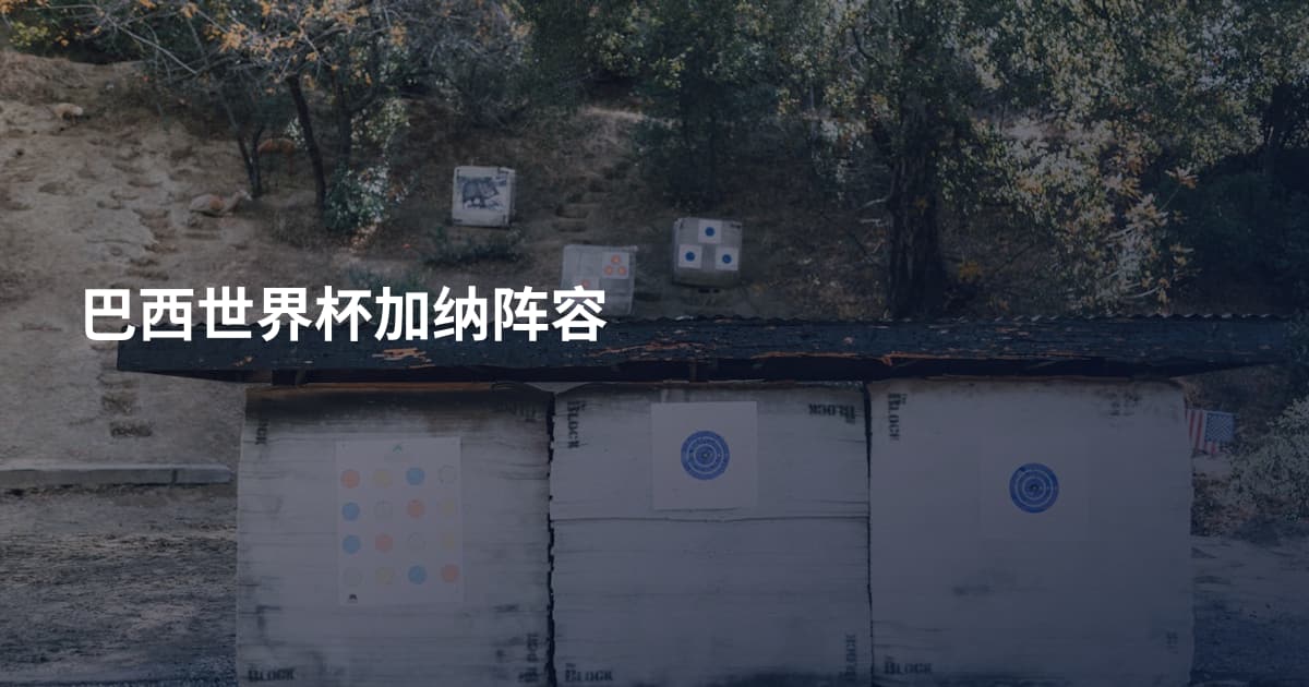 巴西世界杯加纳阵容