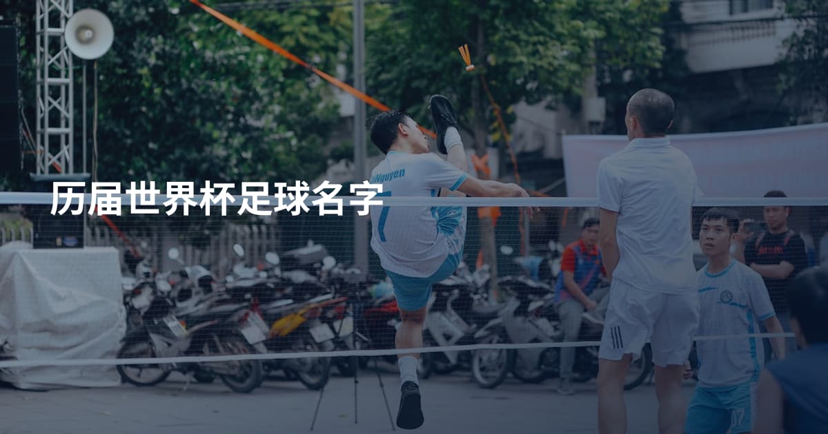 历届世界杯足球名字