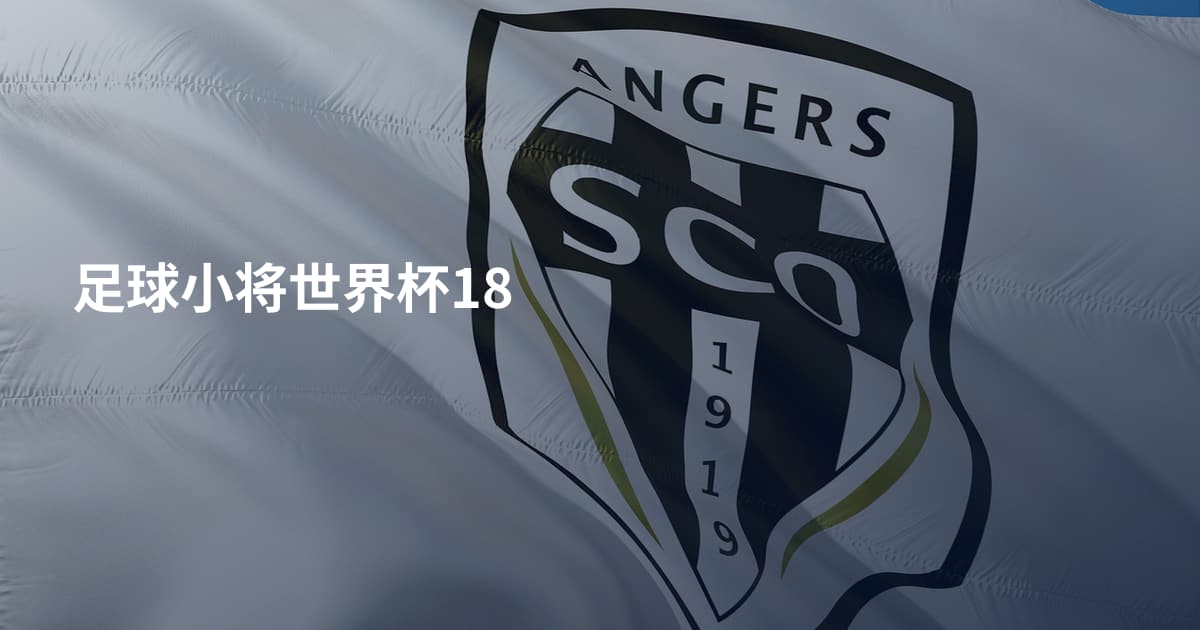 足球小将世界杯18
