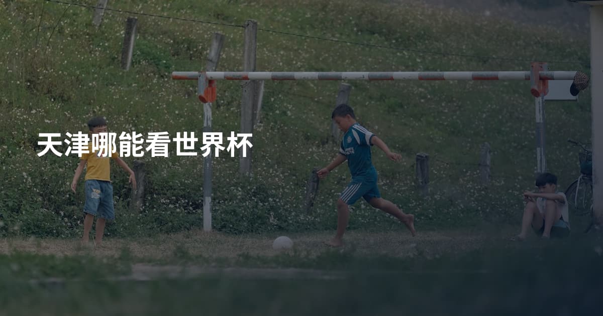 天津哪能看世界杯