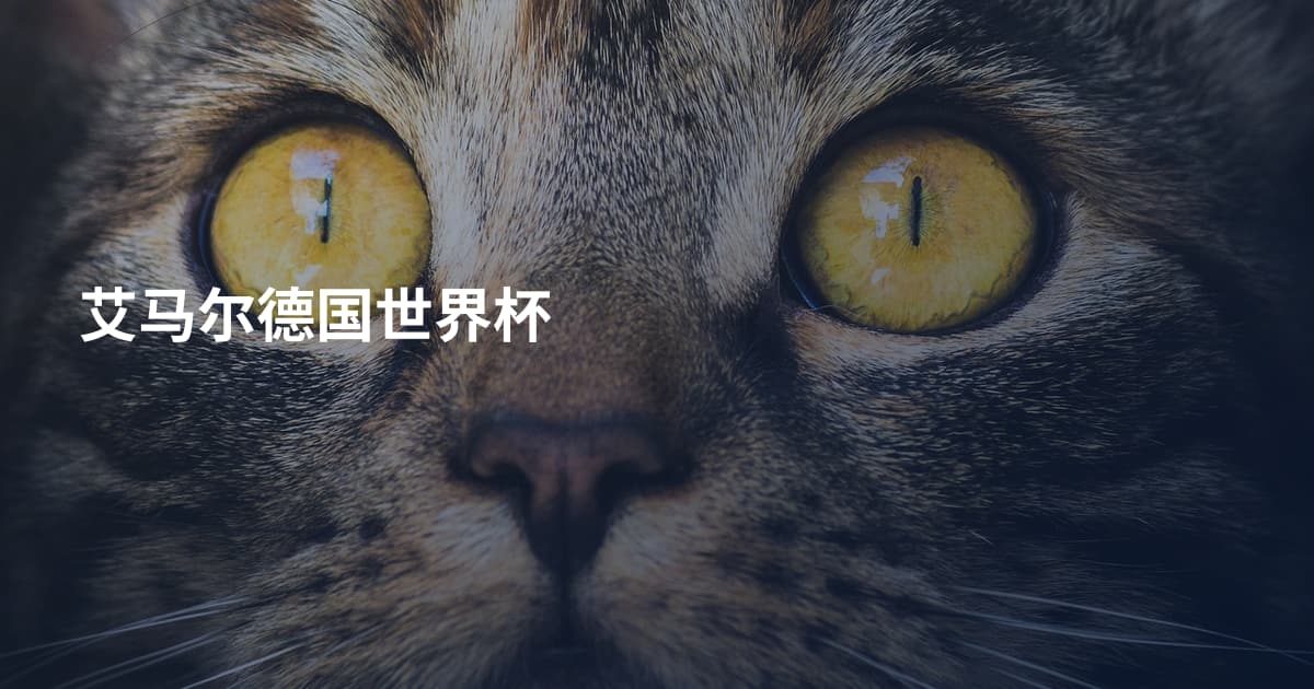 艾马尔德国世界杯