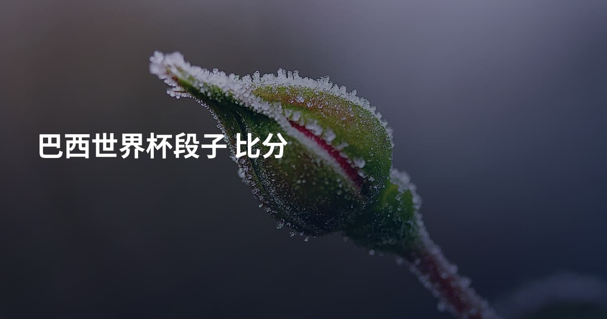 巴西世界杯段子 比分
