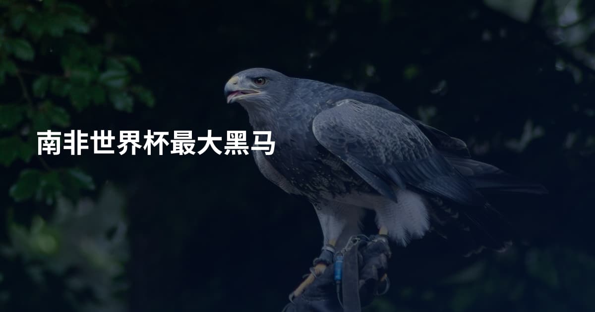 南非世界杯最大黑马