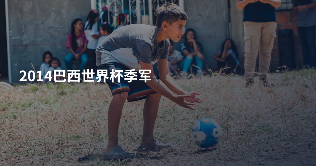 2014巴西世界杯季军