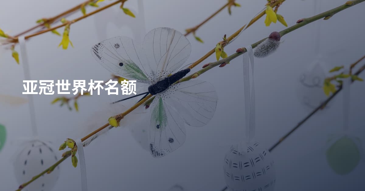 亚冠世界杯名额