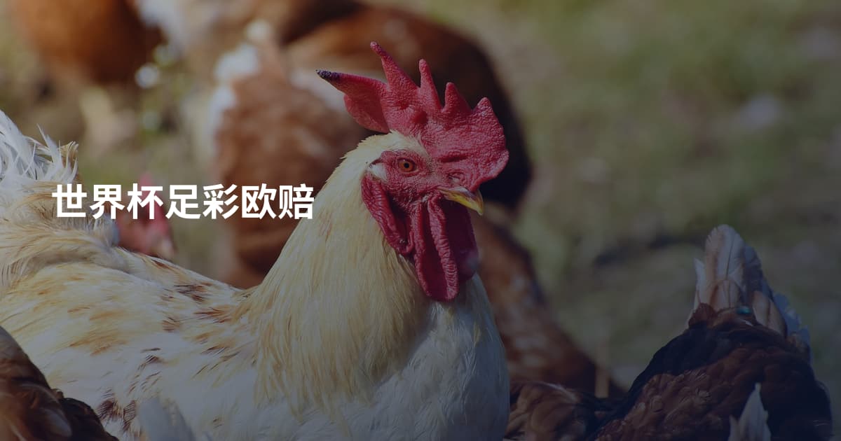 世界杯足彩欧赔