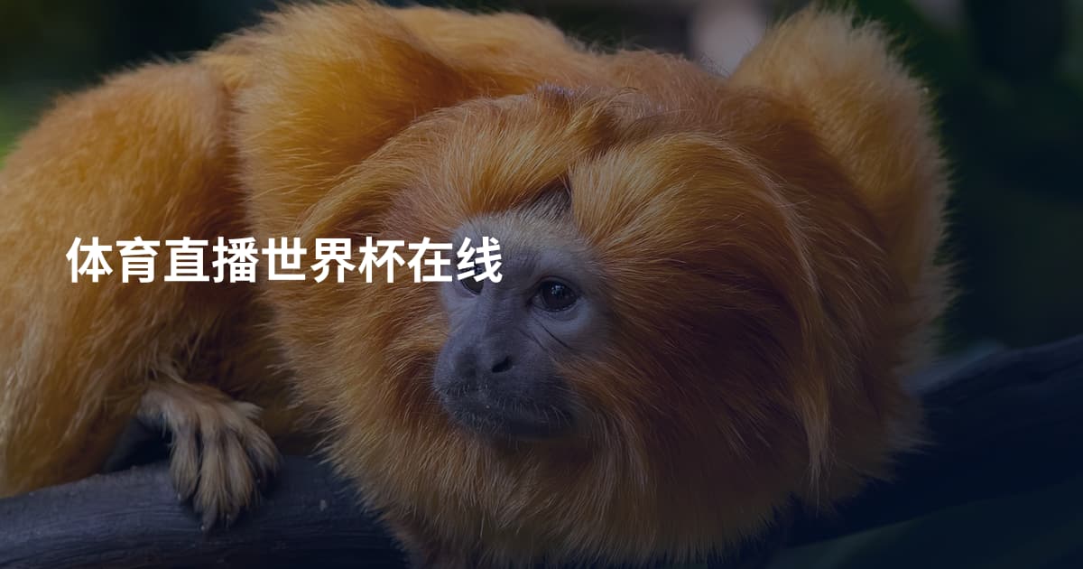 体育直播世界杯在线