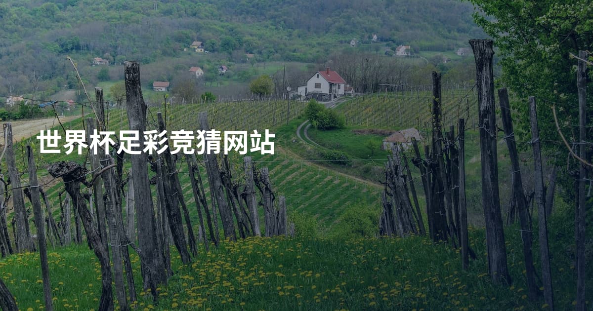 世界杯足彩竞猜网站