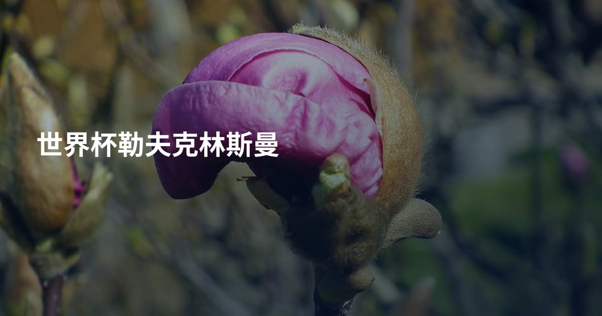 世界杯勒夫克林斯曼