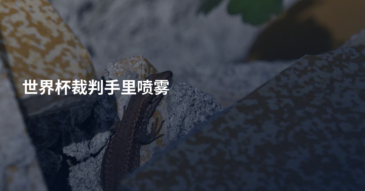 世界杯裁判手里喷雾