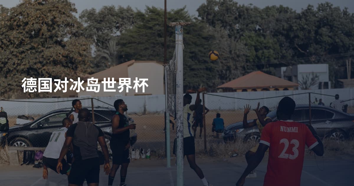 德国对冰岛世界杯
