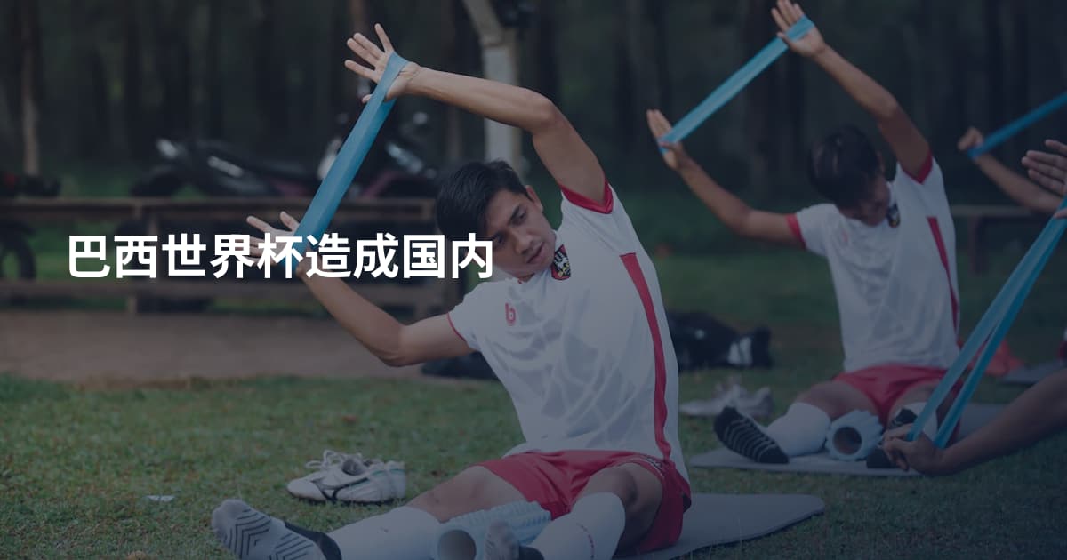 巴西世界杯造成国内