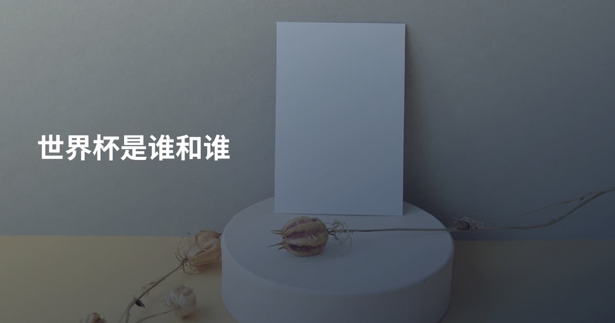 世界杯是谁和谁