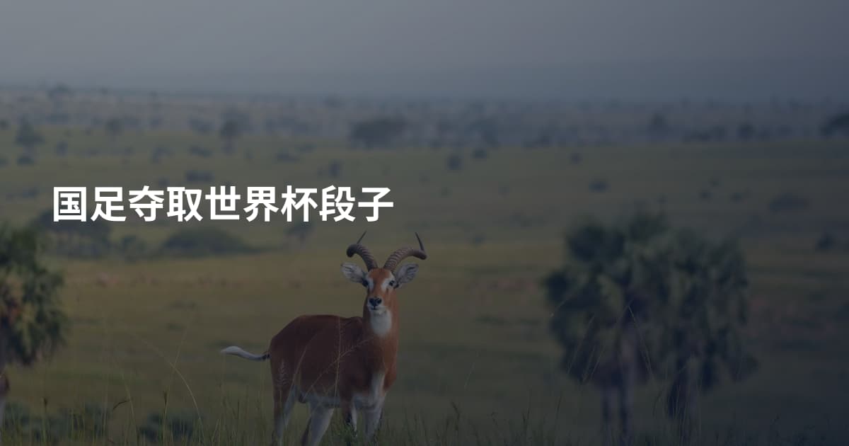 国足夺取世界杯段子