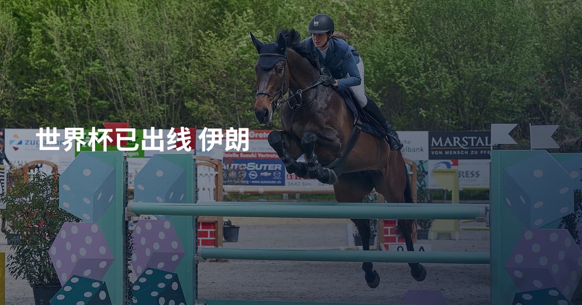 世界杯已出线 伊朗