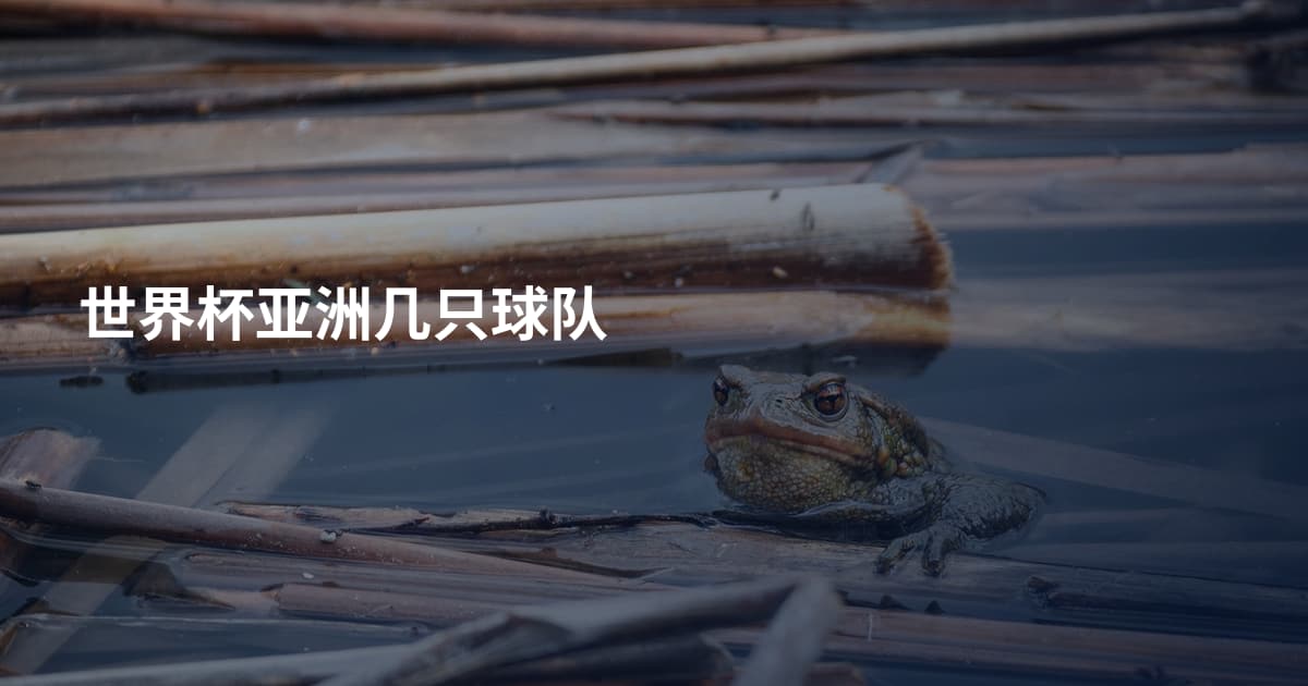 世界杯亚洲几只球队