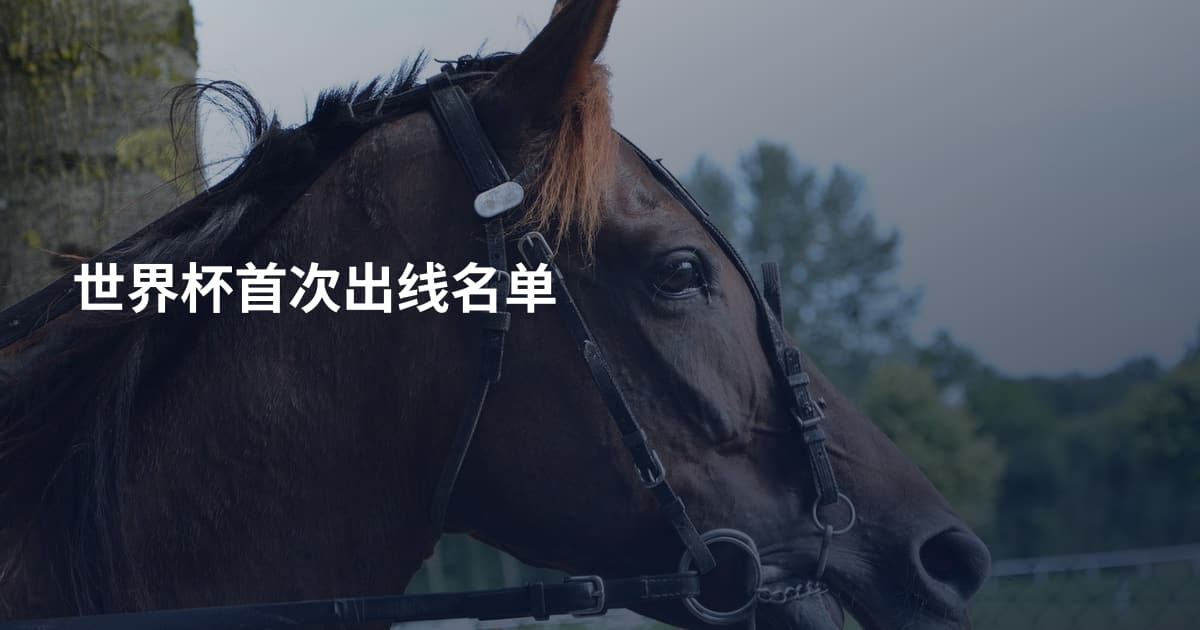 世界杯首次出线名单