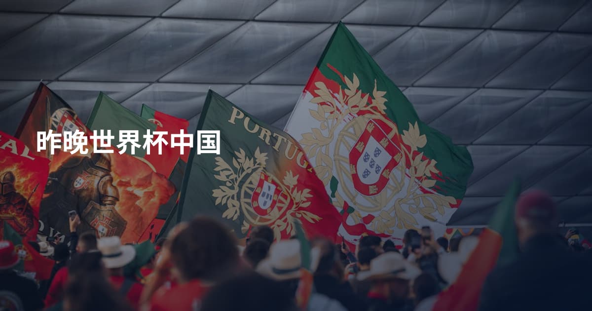 昨晚世界杯中国