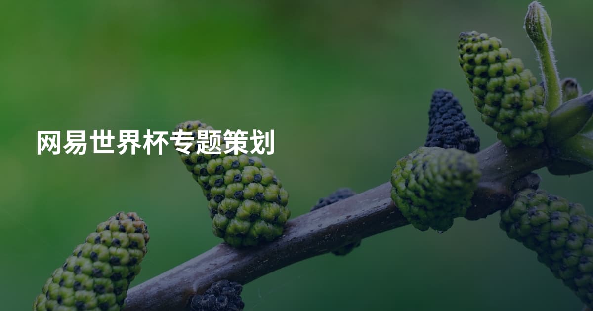 网易世界杯专题策划