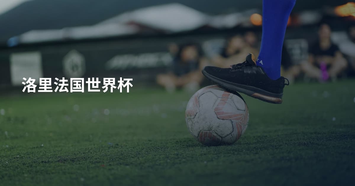 洛里法国世界杯
