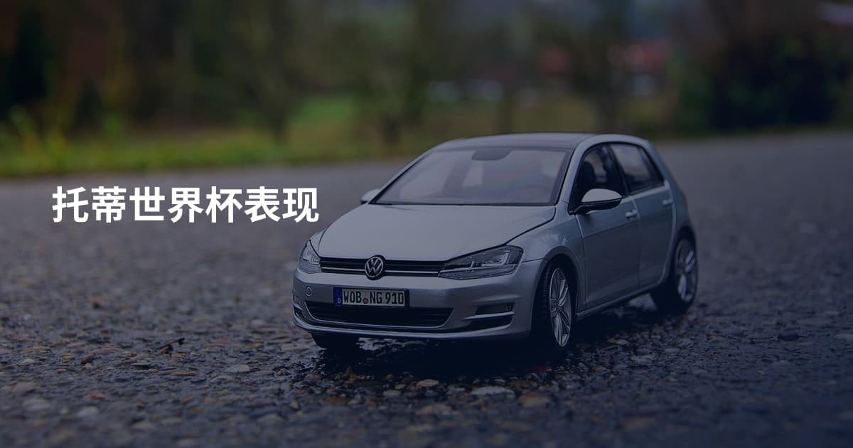 托蒂世界杯表现