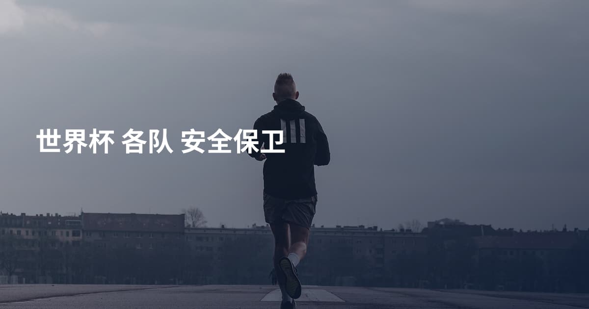世界杯 各队 安全保卫
