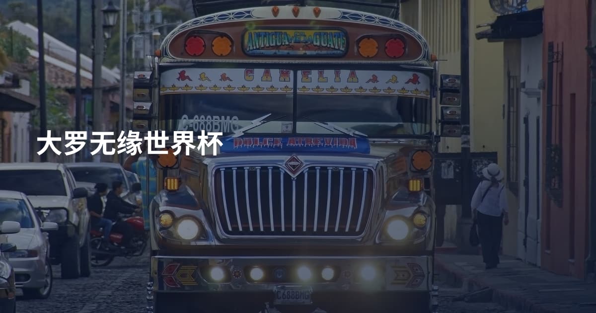 大罗无缘世界杯