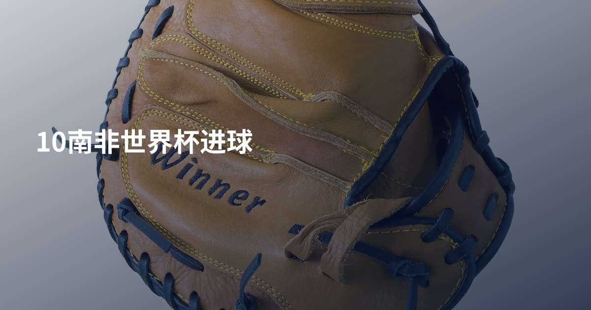 10南非世界杯进球