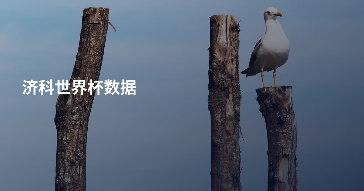 济科世界杯数据