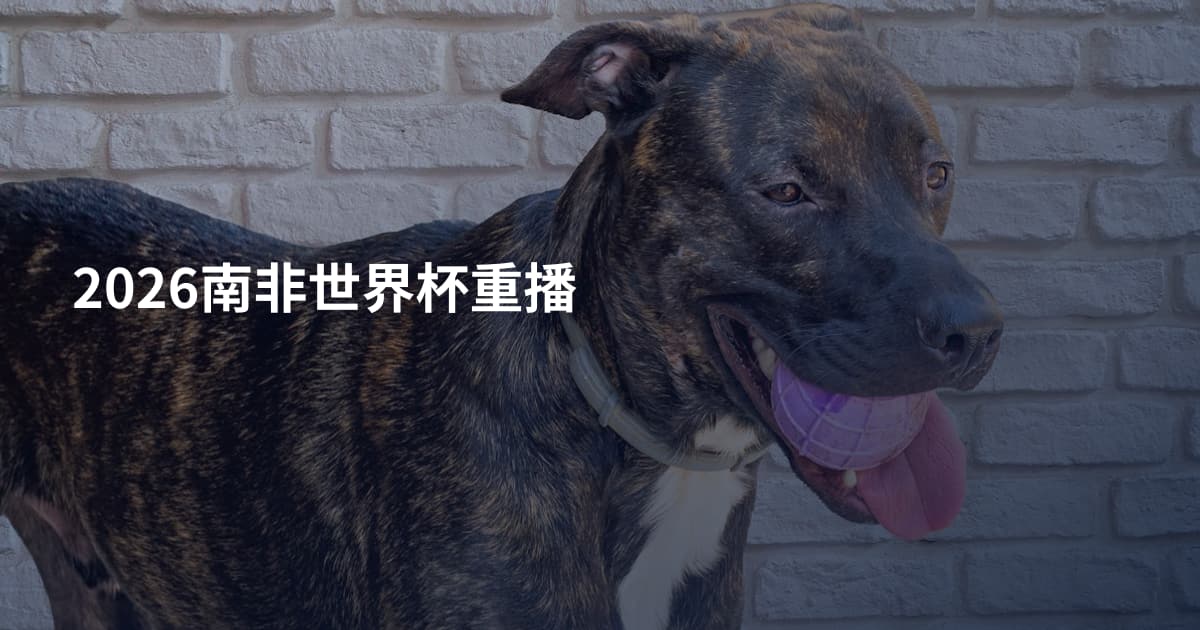 2026南非世界杯重播
