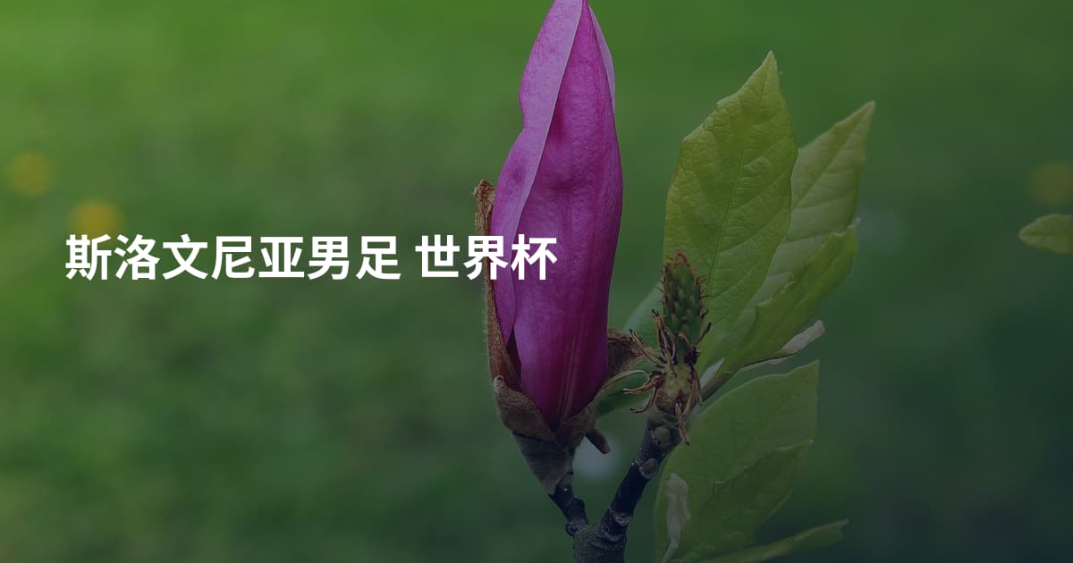 斯洛文尼亚男足 世界杯