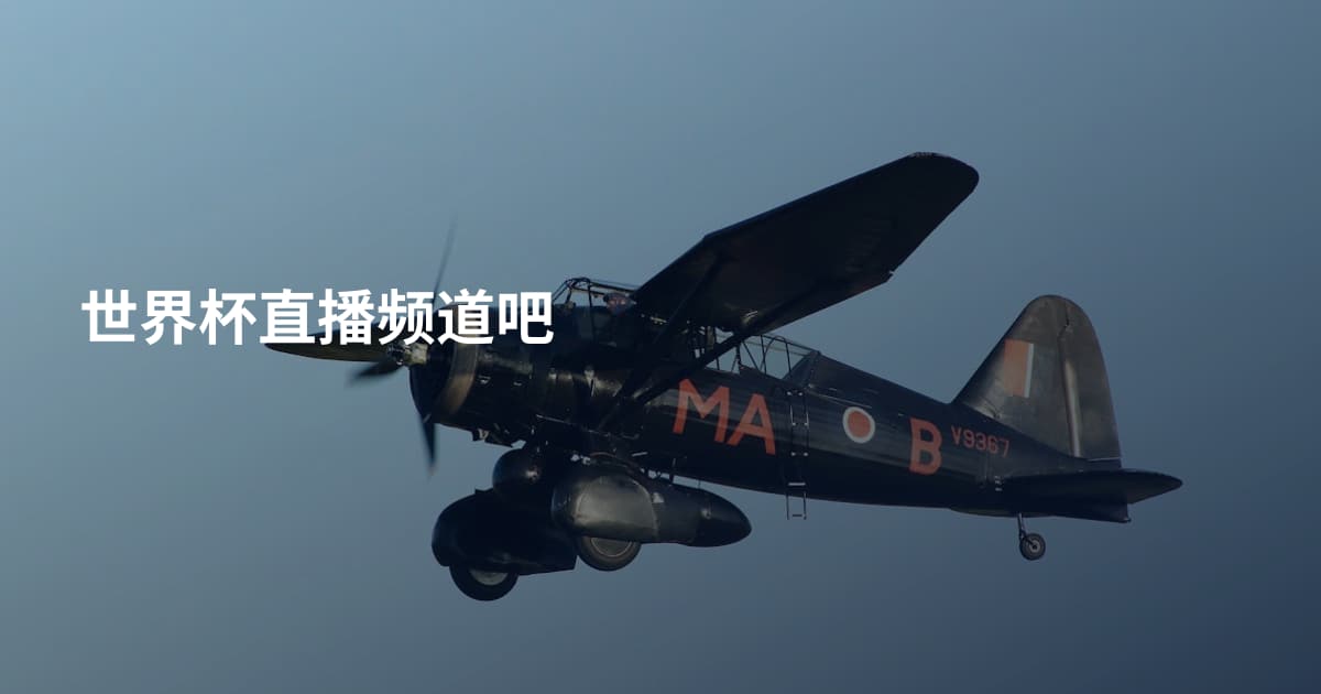 世界杯直播频道吧