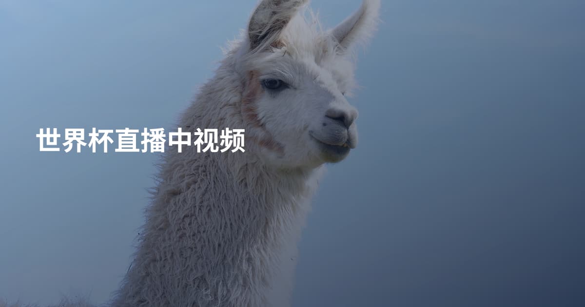 世界杯直播中视频
