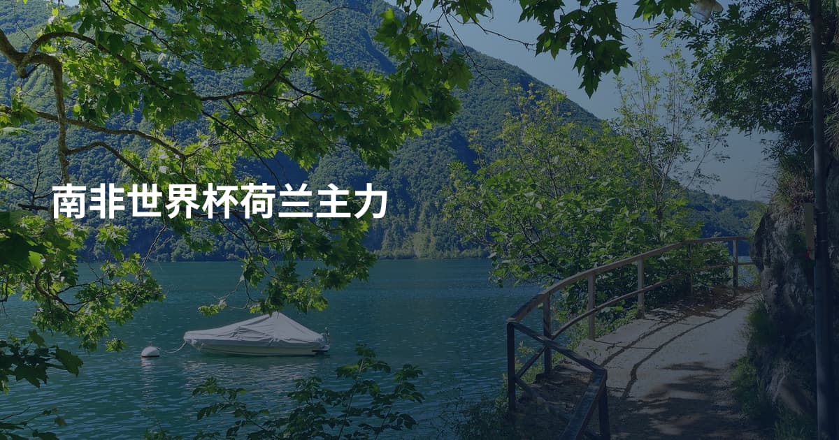 南非世界杯荷兰主力