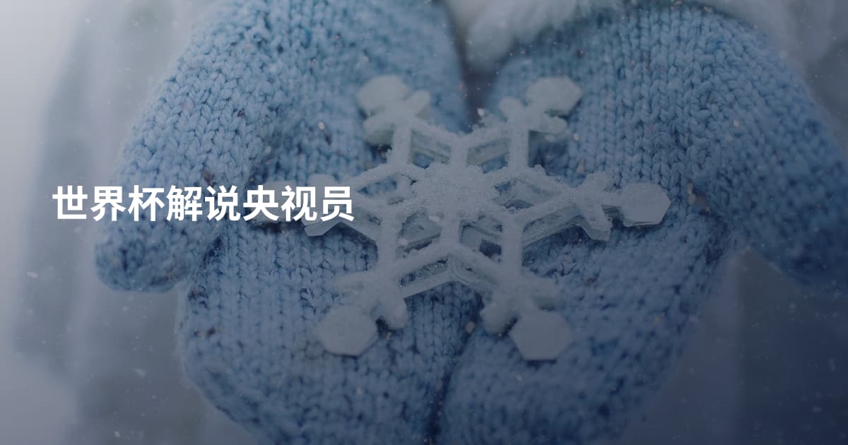 世界杯解说央视员
