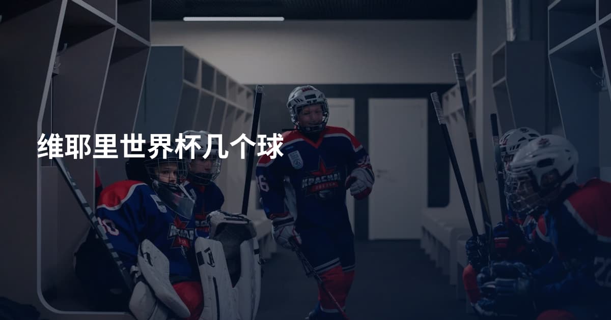 维耶里世界杯几个球
