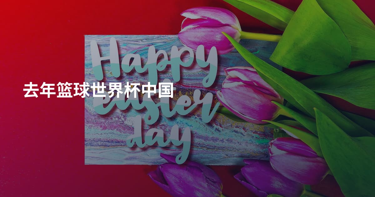 去年篮球世界杯中国