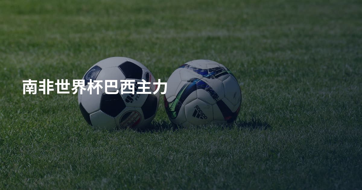 南非世界杯巴西主力