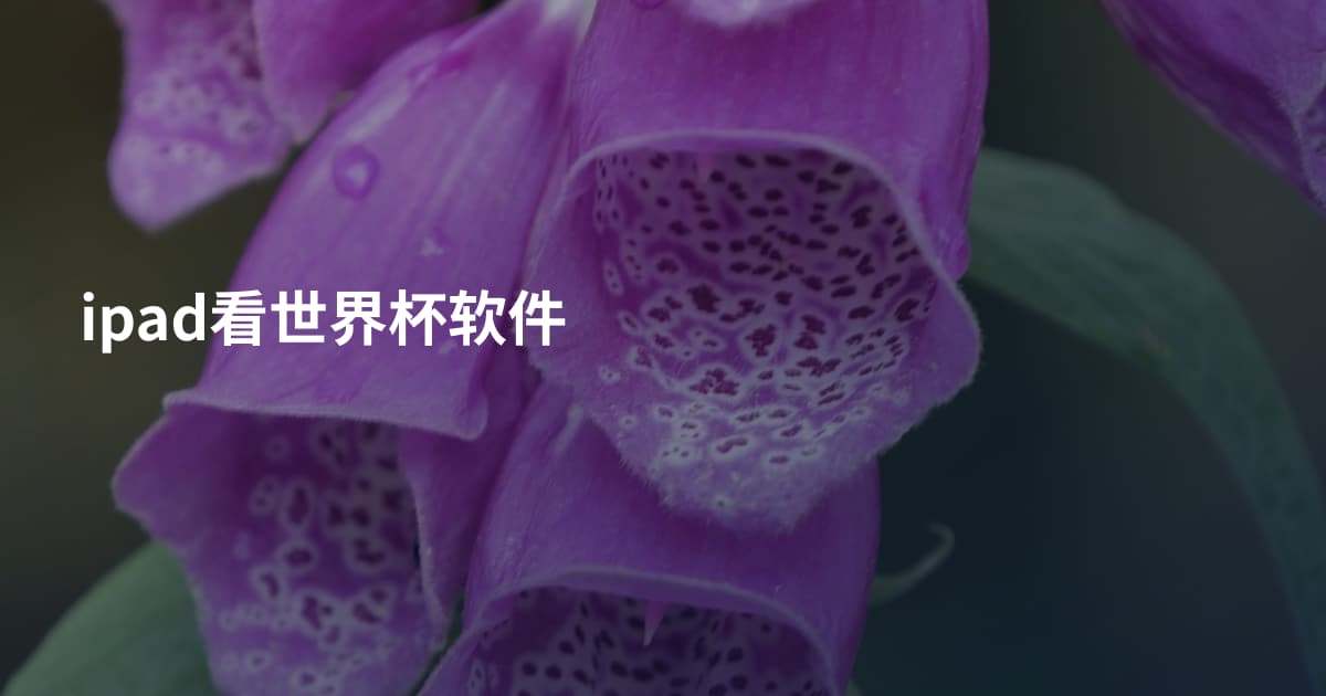 ipad看世界杯软件